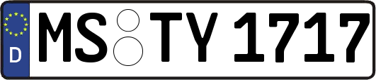MS-TY1717