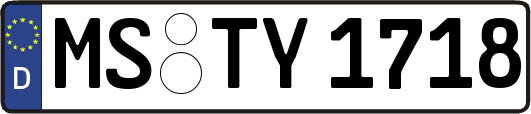 MS-TY1718