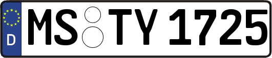 MS-TY1725