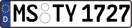 MS-TY1727