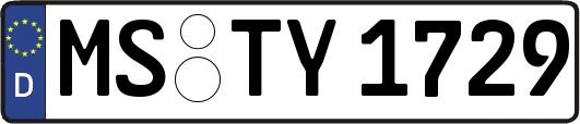 MS-TY1729