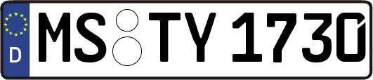 MS-TY1730