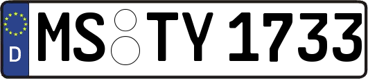 MS-TY1733