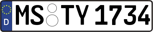 MS-TY1734