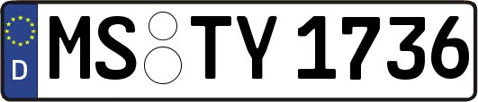 MS-TY1736