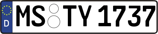 MS-TY1737
