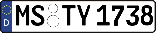 MS-TY1738