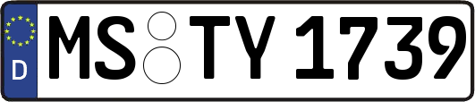 MS-TY1739