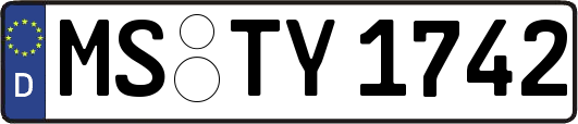 MS-TY1742