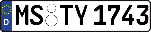 MS-TY1743