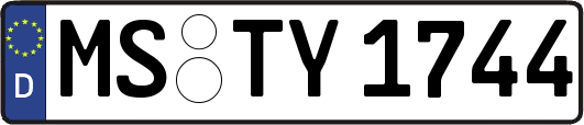 MS-TY1744