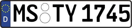 MS-TY1745