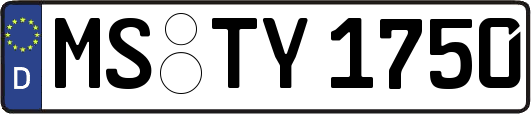 MS-TY1750