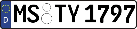 MS-TY1797