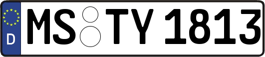 MS-TY1813