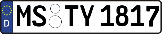 MS-TY1817
