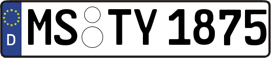 MS-TY1875