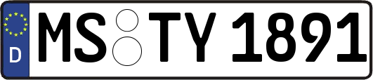 MS-TY1891