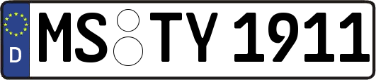 MS-TY1911