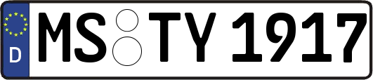 MS-TY1917