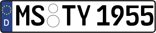 MS-TY1955