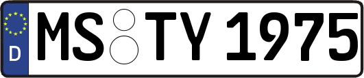 MS-TY1975