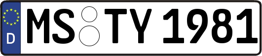 MS-TY1981