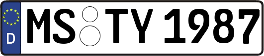MS-TY1987