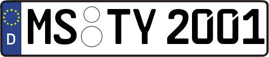 MS-TY2001