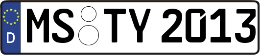 MS-TY2013