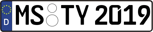 MS-TY2019