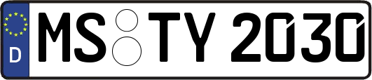 MS-TY2030