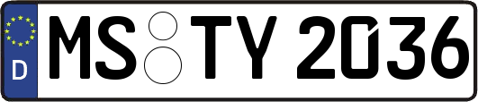MS-TY2036