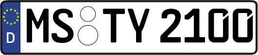 MS-TY2100