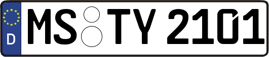 MS-TY2101