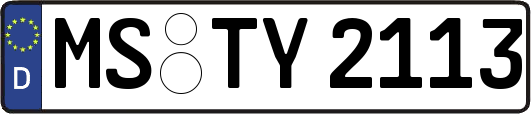 MS-TY2113