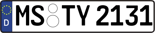 MS-TY2131