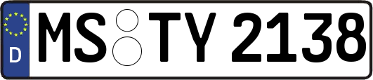 MS-TY2138