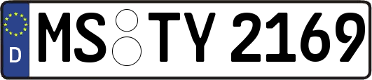 MS-TY2169