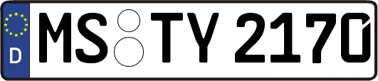MS-TY2170