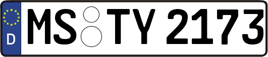 MS-TY2173