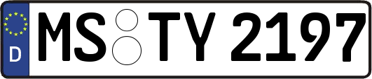 MS-TY2197