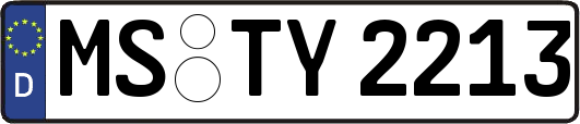 MS-TY2213