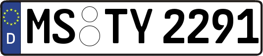 MS-TY2291