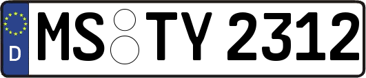MS-TY2312