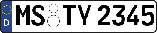 MS-TY2345