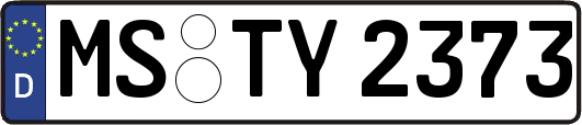 MS-TY2373