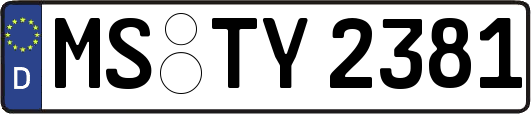 MS-TY2381