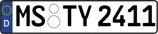 MS-TY2411
