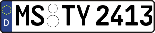 MS-TY2413